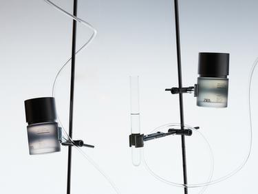 LOOK - COLOUR 1 by Zara