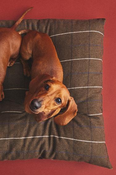 REMOVABLE PET FLOOR CUSHION - Brown by Zara