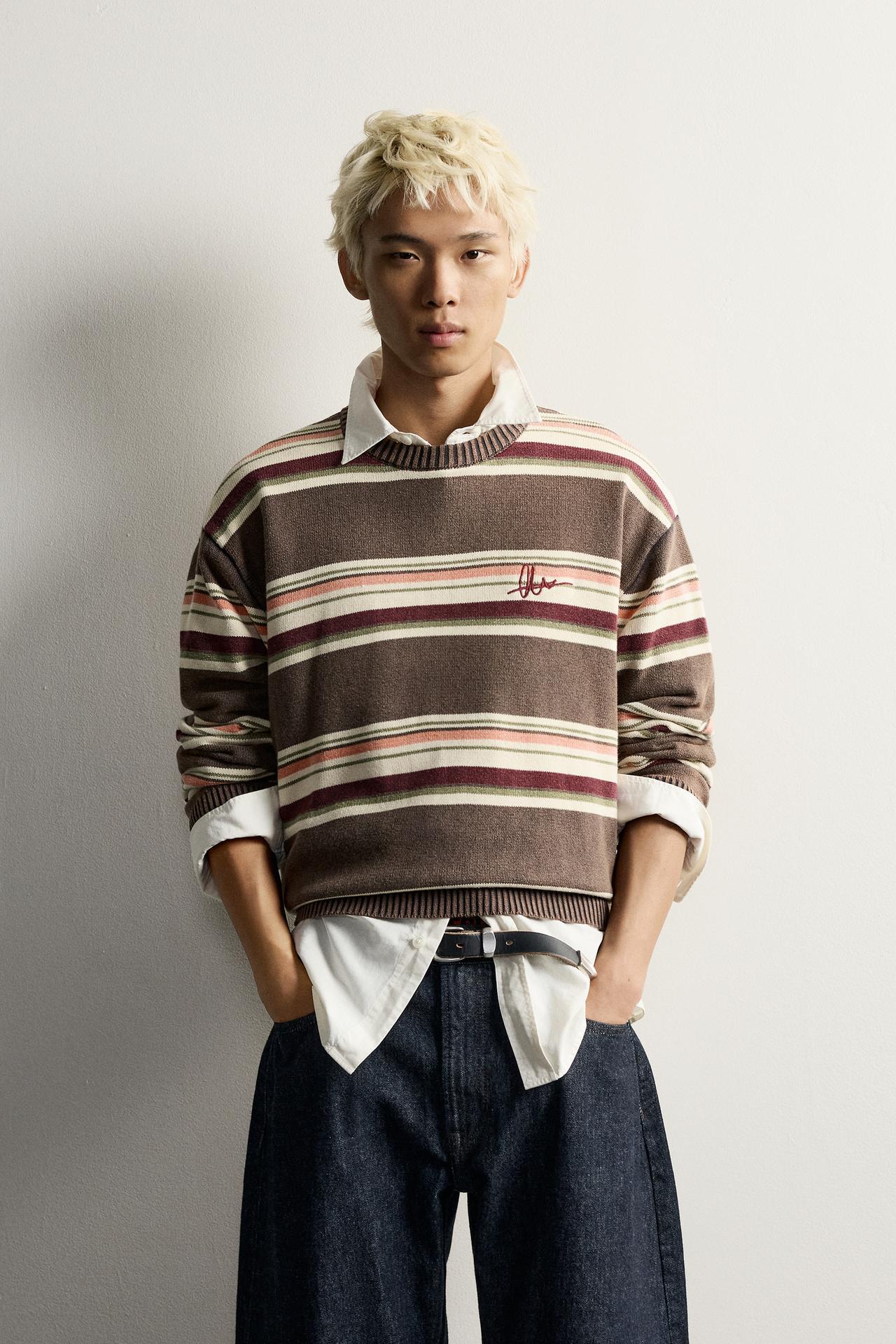 STRIPED EMBROIDERED JACQUARD SWEATER — Brown