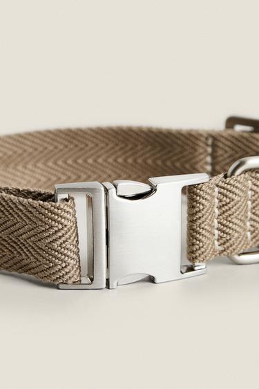 COLOURED DOG COLLAR - Khaki by Zara - Image 2