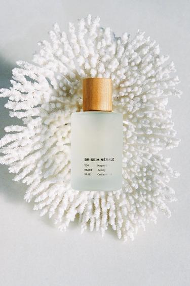 BRISE MINÉRALE EDT 100ML (3.4 FL. OZ). - TINTED LEATHER by Zara