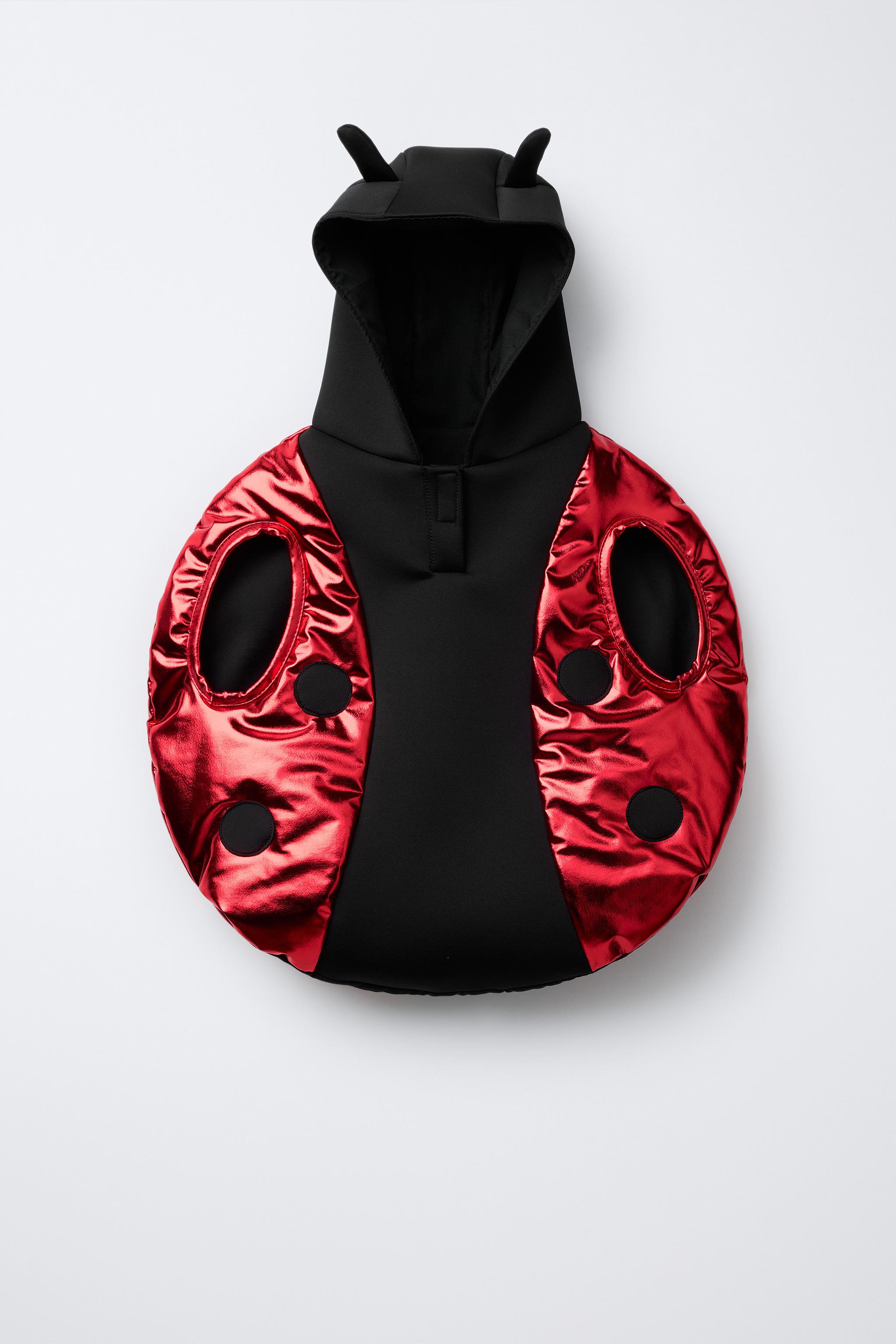 DÉGUISEMENT COCCINELLE