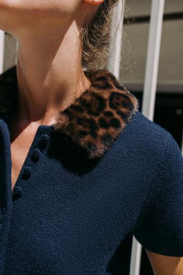 VESTE EN MAILLE COL IMPRIMÉ ANIMAL - Bleu marine de Zara - Image 5