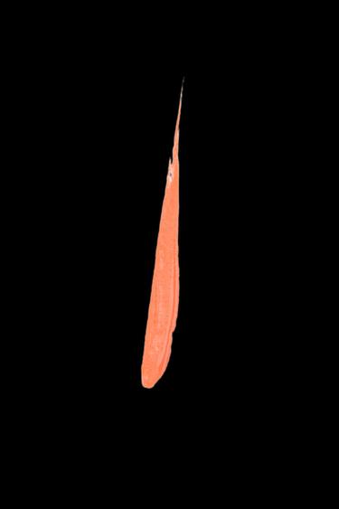 NEON EYELINER - NEON ORANGE by Zara