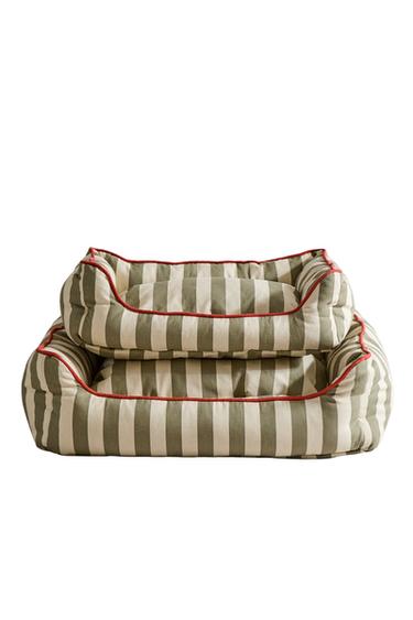 STRIPED PET BED WITH PIPING - Light green by Zara