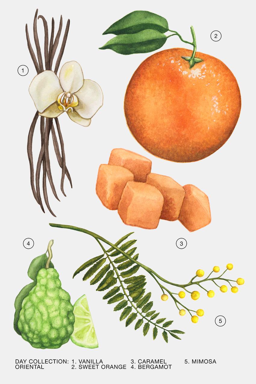 ORIENTAL EDT 90 ML / 3.04 FL. OZ - by Zara - Image 1