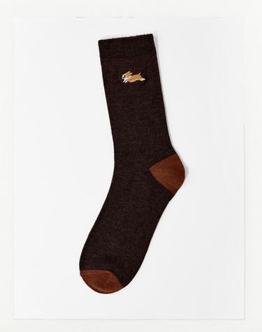 CALCETINES BORDADO PERRO - Marrón de Zara