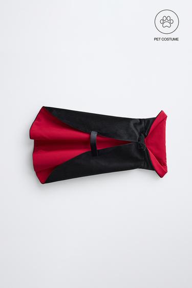Zara PUMPKIN PET COSTUME - Burgundy