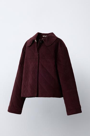 BLOUSON EN VELOURS AVEC COL CLAUDINE - Bordeaux de Zara - Image 1