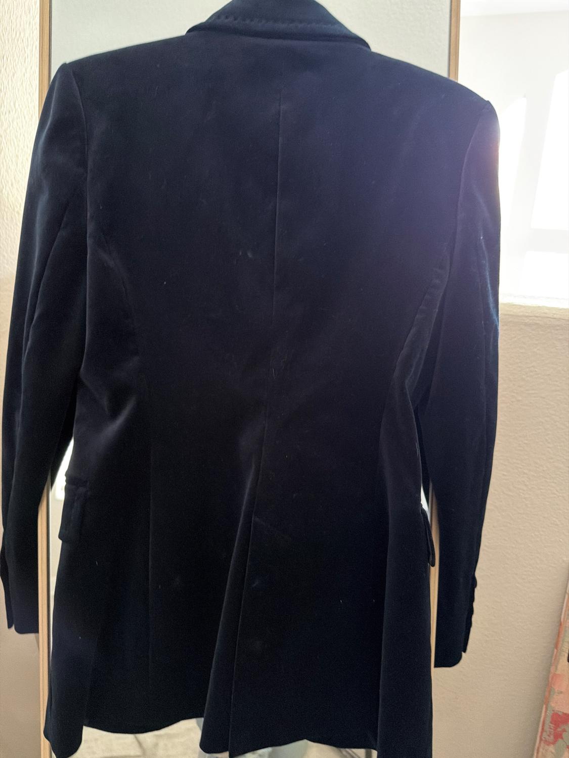BLAZER TERCIOPELO ZW COLLECTION - Image 2