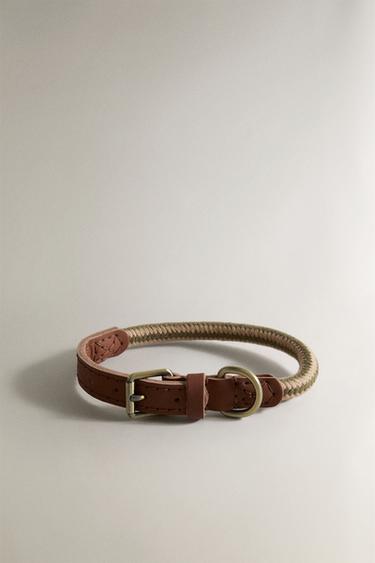 LEATHER AND ROPE DOG COLLAR - Green by Zara - Image 3