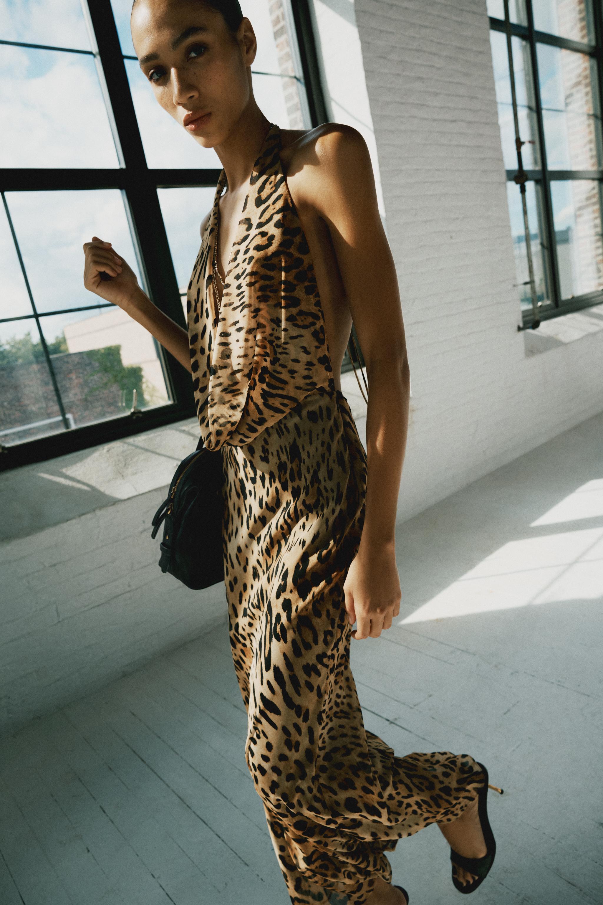 Animal Print Dress