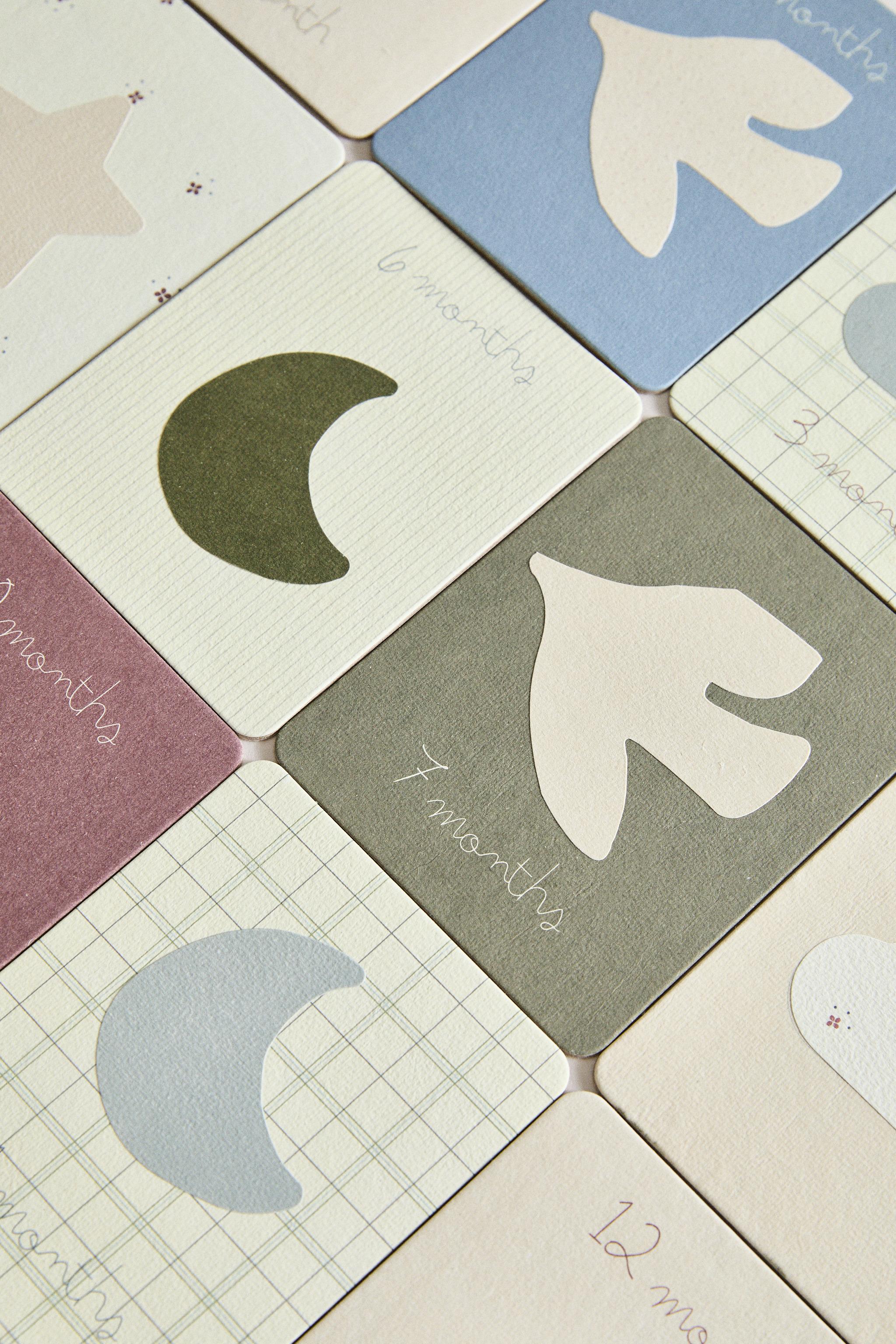 BABY MONTHLY MILESTONE KIT – 12 DONKEY CARDS