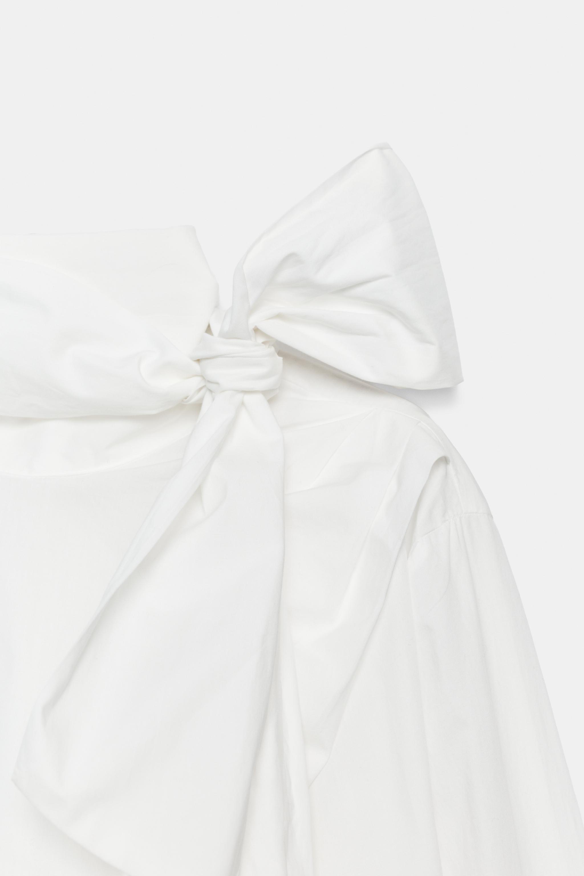 ZW COLLECTION POPLIN TIE SHIRT