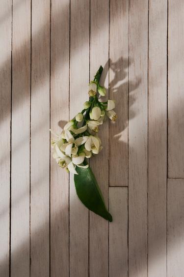 ZARAILLUSION EDP 80ML (2.71 FL. OZ) -  de Zara - Image 1