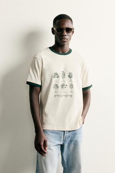 CAMISETA CANELADA ESTAMPADA COM CONTRASTE - Branco-marfim da Zara