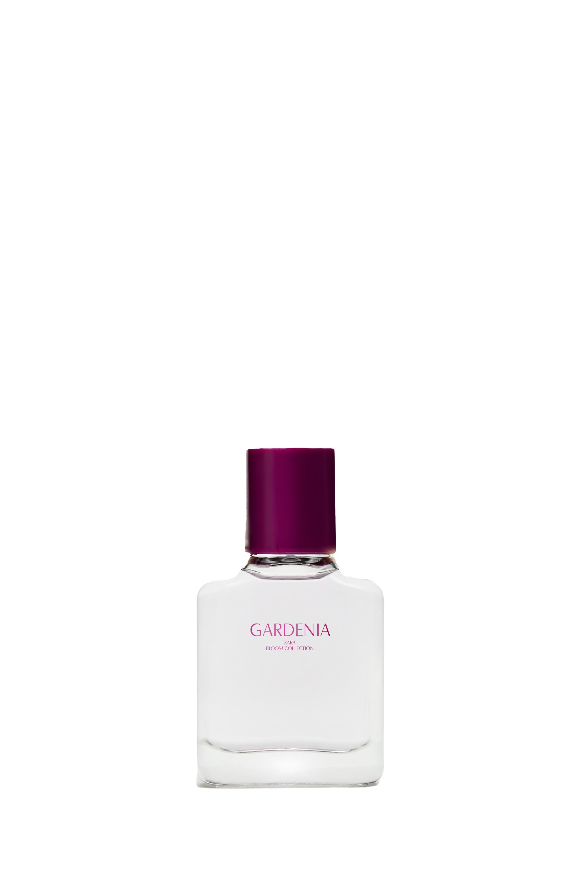 GARDENIA EDP 30 ML (1,0 FL. OZ). - TINTED LEATHER | ZARA Brasil