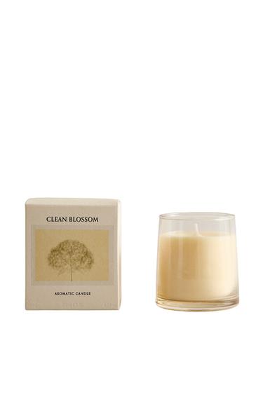 (180 G) BOUGIE PARFUMÉE CLEAN BLOSSOM - Vert/Blanc de Zara