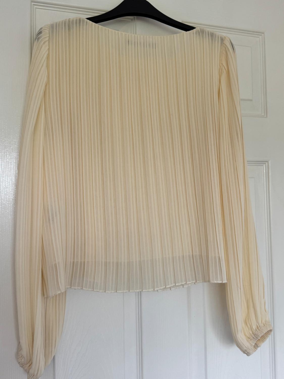 Cream-coloured pleated chiffon blouse with long sleeves and elasticated cuffs, hanging on a black hanger in front of a white door.