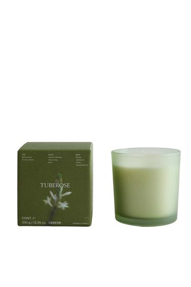Zara (350 G) TUBEROSE SCENTED CANDLE - 深紫色