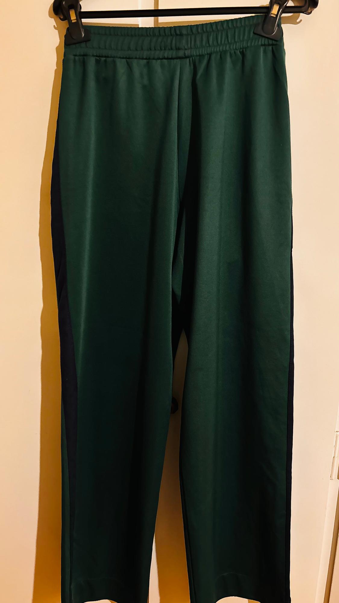 Green trousers hanging on a hanger, with dark side stripes. Light wall background.