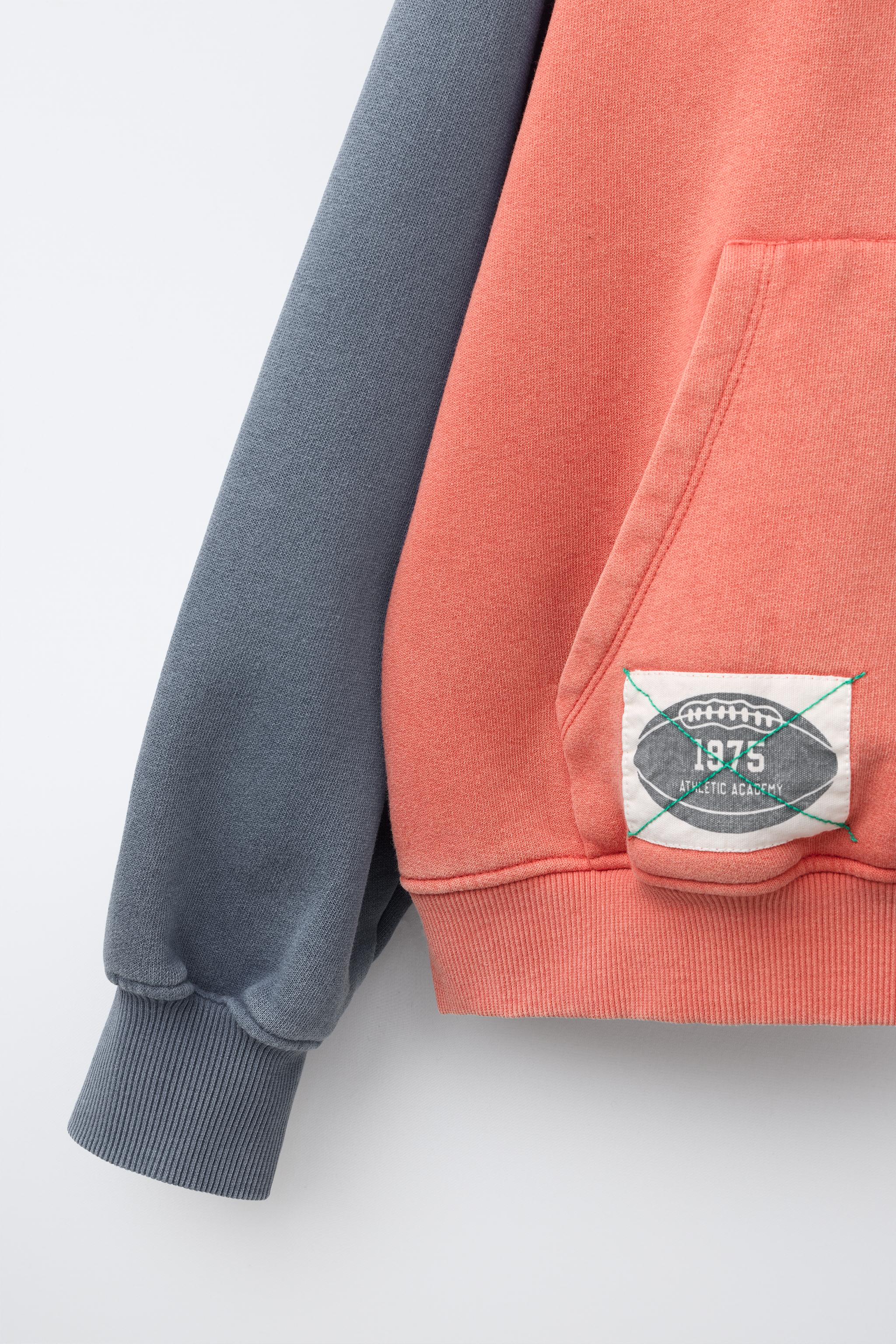 SWEAT À CAPUCHE COLORBLOCK INSCRIPTION