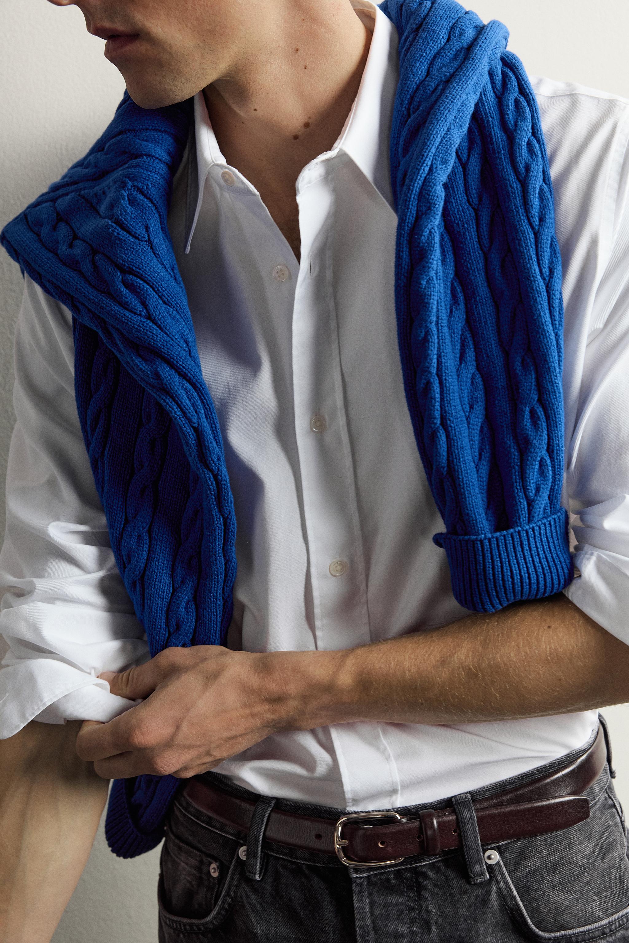 CHEMISE HABILLÉE À RAYURES AARON LEVINE X ZARA