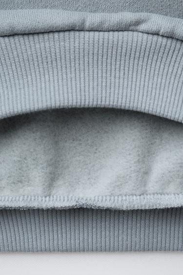 SWEAT IMPRIMÉ CAPYBARA CAPYFUN © - Gris bleu de Zara - Image 3