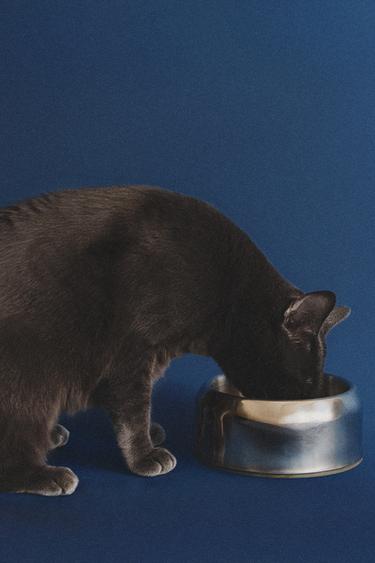 STAINLESS STEEL PET FOOD BOWL - Silver by Zara