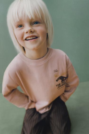 CAMISETA ESTAMPADA MONTAÑA - Rosado oscuro de Zara