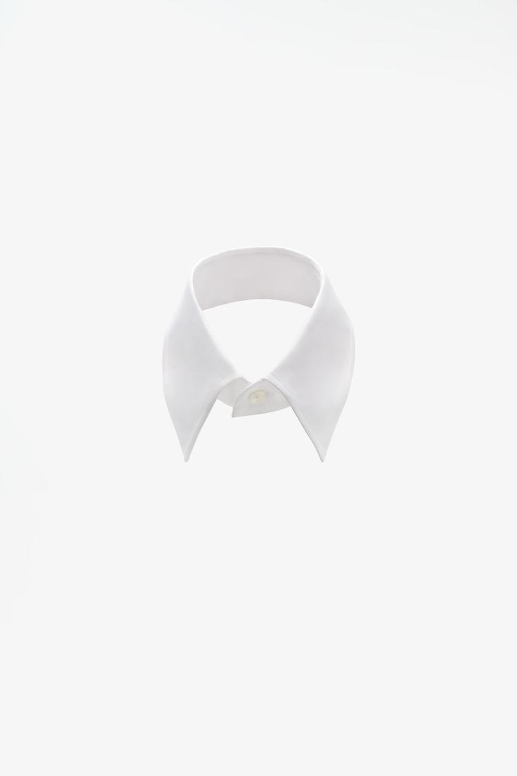 Cuello camisero popelin limited edition