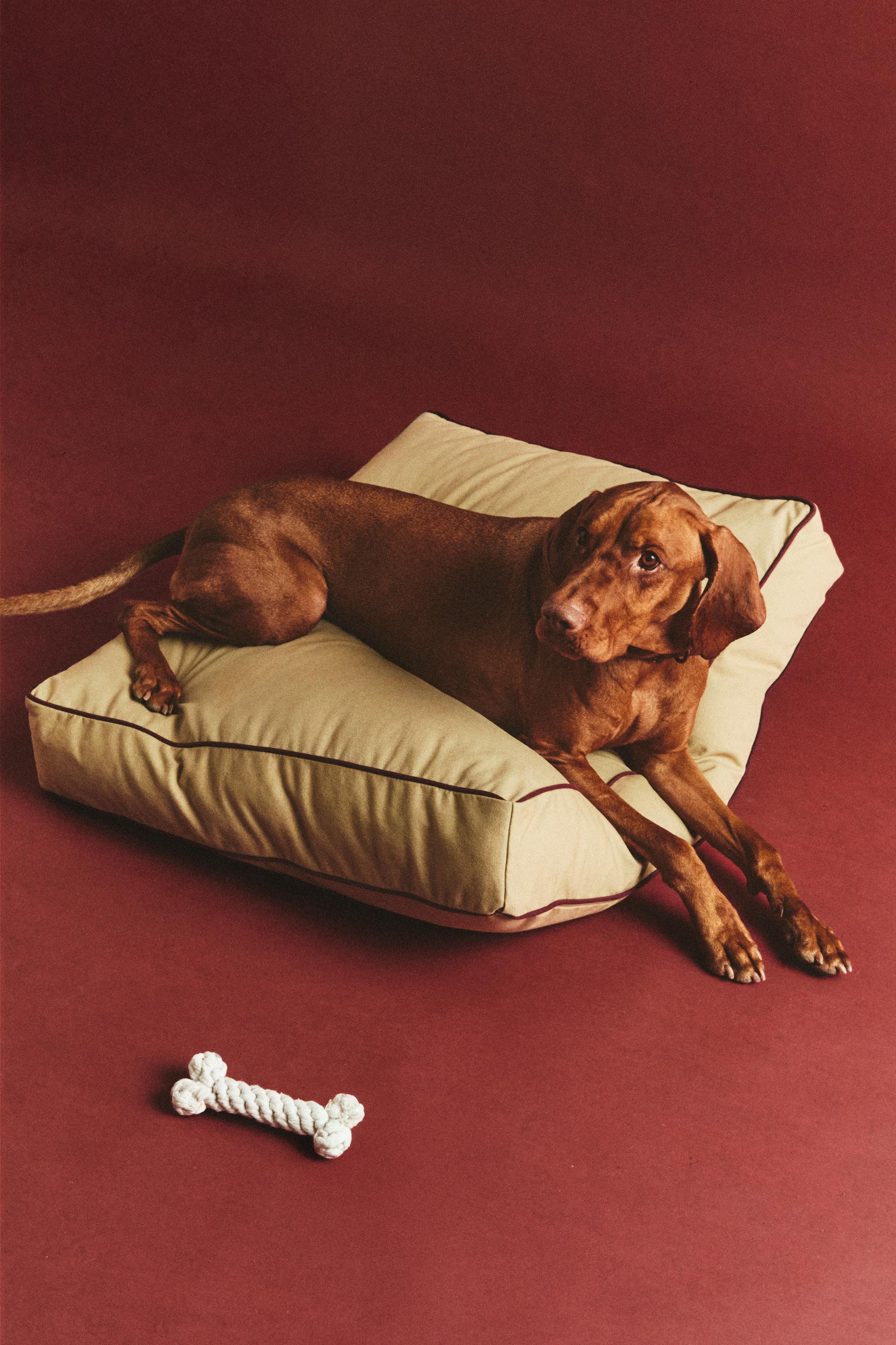 XL FLOOR CUSHION WITH PIPING FOR PETS