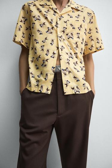 PANTALON COUPE ÉVASÉE HARRY LAMBERT FOR ZARA X DISNEY - Marron de Zara - Image 4