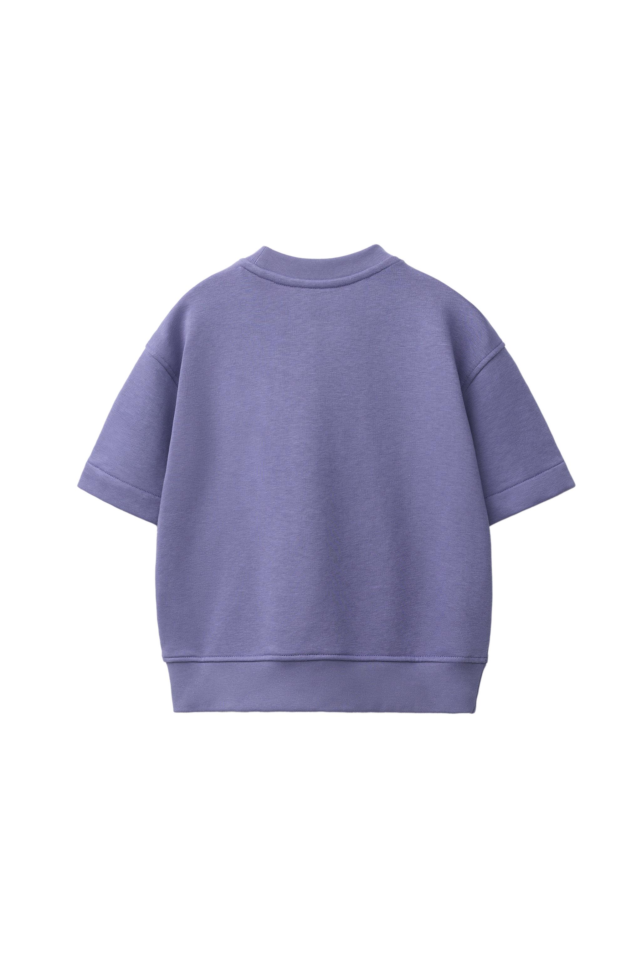 SHORT SLEEVE RAISED TEXT SWEATSHIRT — Mauve (alternate view)