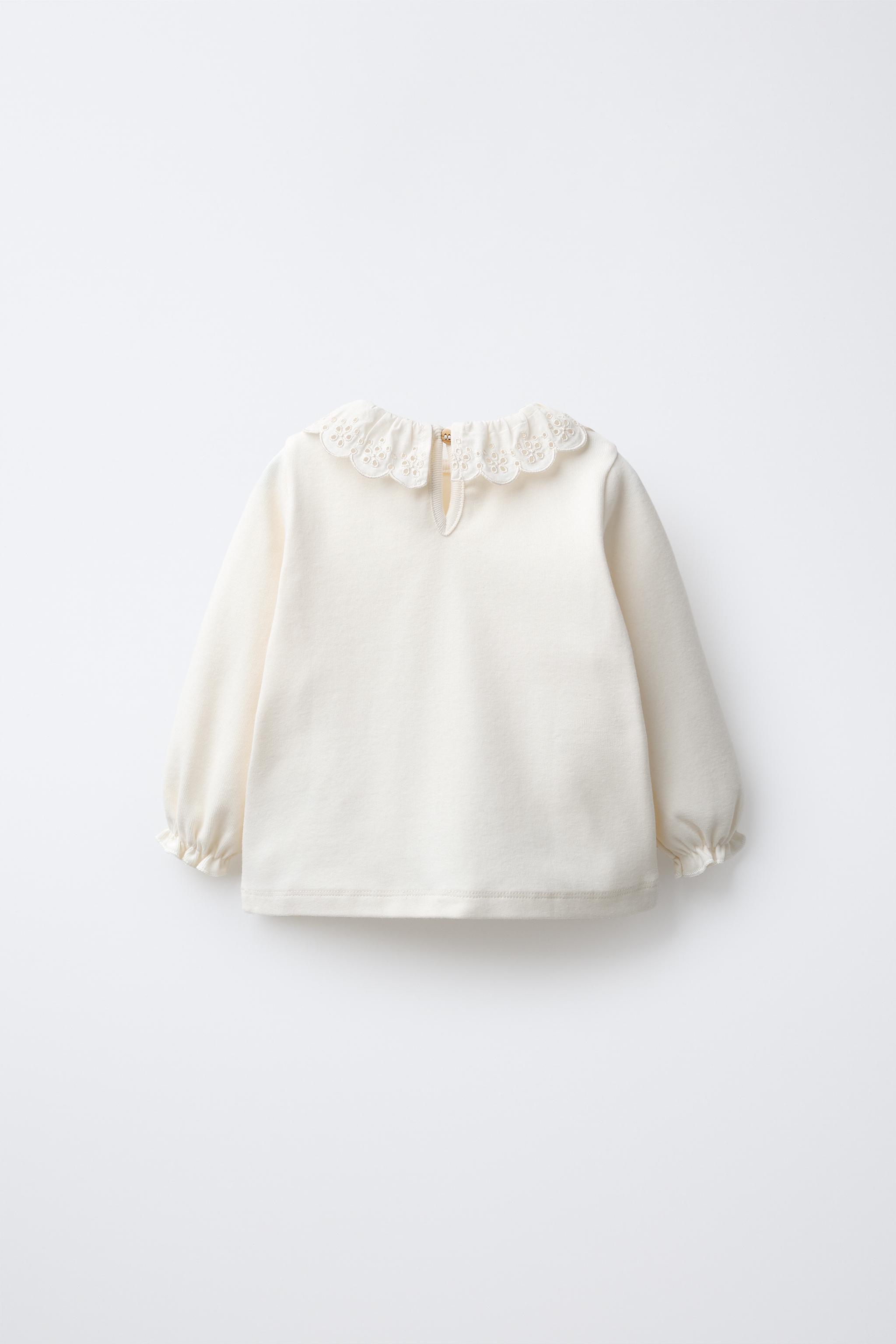 トップス Embroidery Collar Knitted Top - ecru EMBROIDERED WARM PETER PAN COLLAR TOP - Ecru | ZARA United