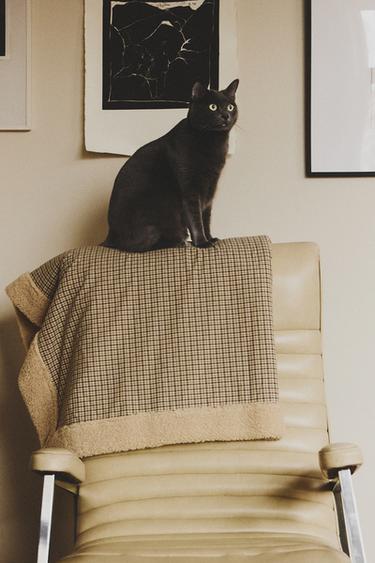 SMALL CHECK PET THROW – Ekrü a ZARA-tól