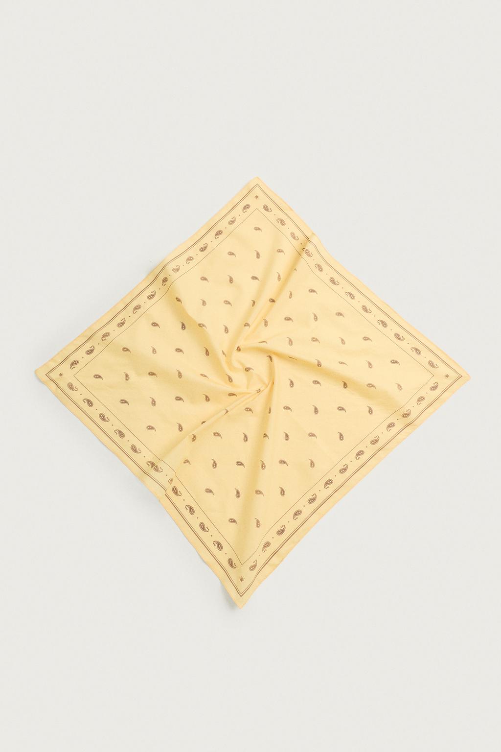 PAISLEY PRINT BANDANA