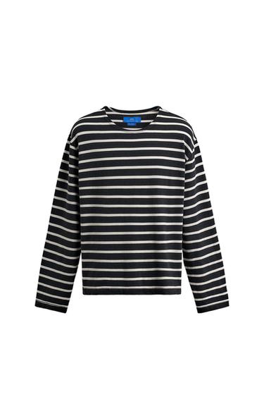 AARON LEVINE X ZARA ストライプ柄ジャカードTシャツ青色/白色ZaraのAARON LEVINE X ZARA ストライプ柄ジャカードTシャツ - 青色/白色 