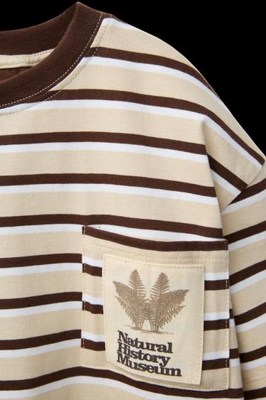 GESTREIFTES T-SHIRT MIT TASCHE NATURAL HISTORY MUSEUM LONDON © - Gestreift von Zara