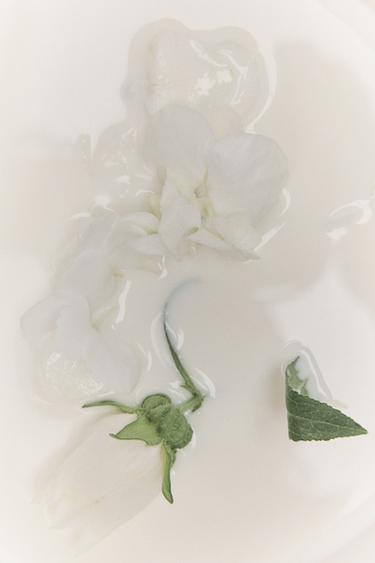 WOMAN IN WHITE PARFUM 80 ML / 2.72 oz -  by Zara - Image 2