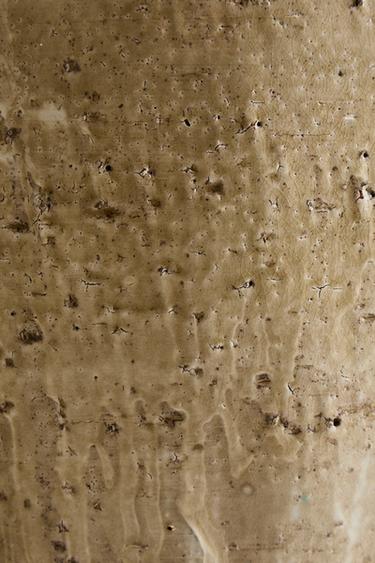 CERAMIC VASE - Ecru by Zara - Image 3