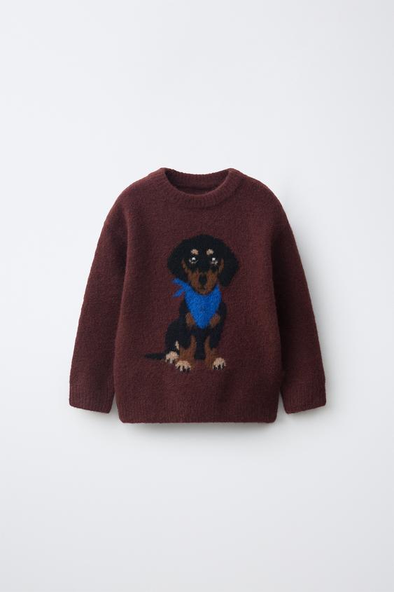 EMBROIDERED DOG JUMPER - Dark burgundy de Zara - Imagen 0
