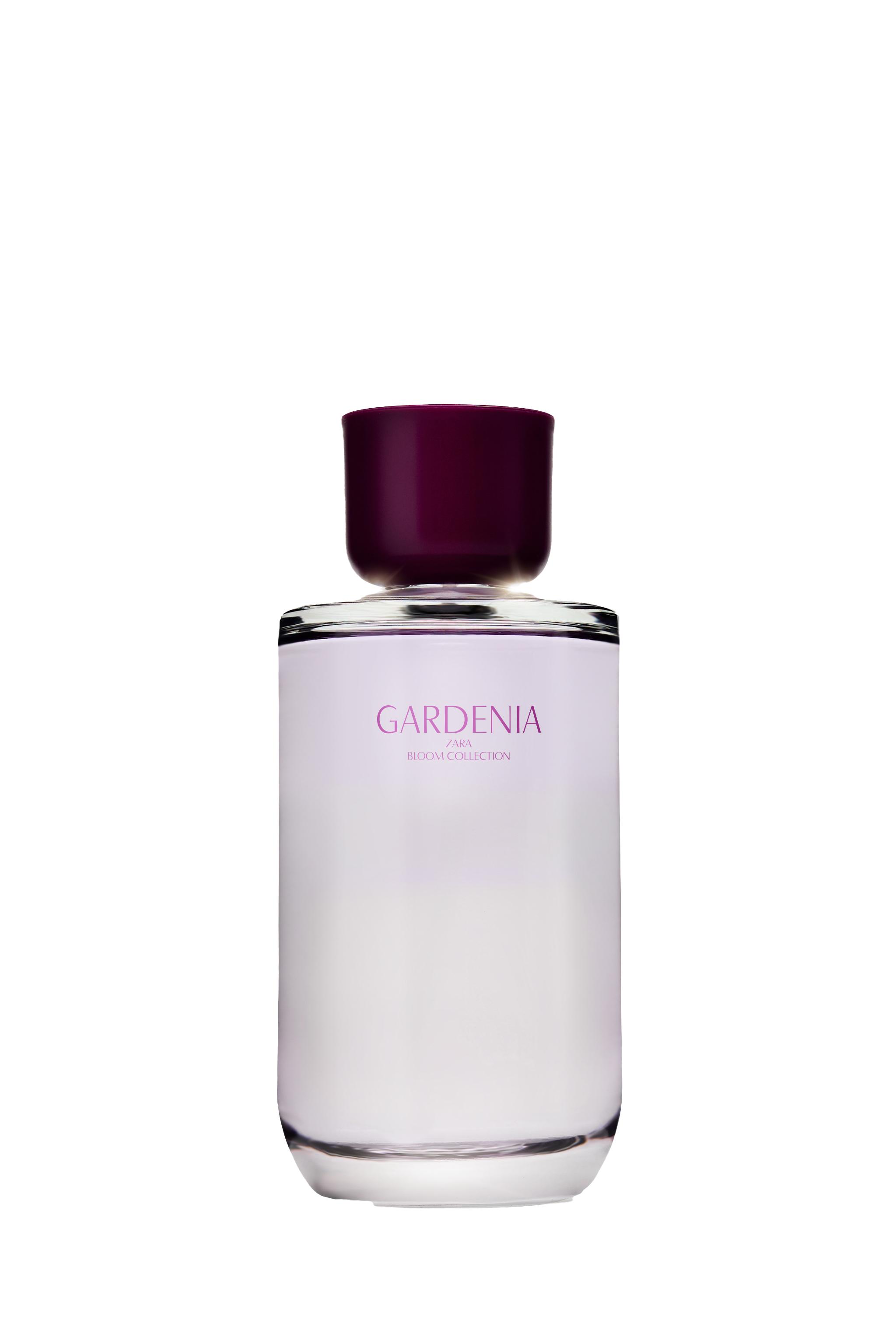 20120827999-f1.jpg?ts=