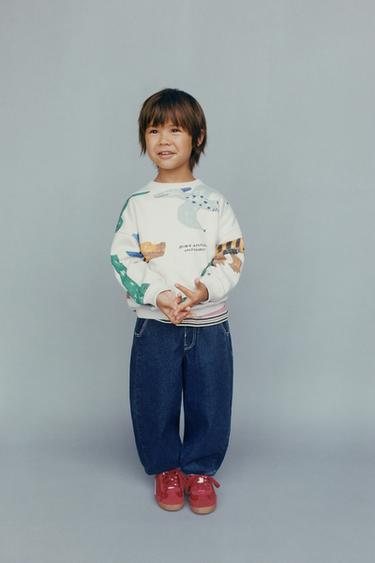 SWEATSHIRT MIT DINOSAURIER-PRINT - Eis von Zara