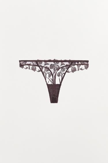 TANGA BRODERIES DENTELLE - Marron de Zara - Image 4