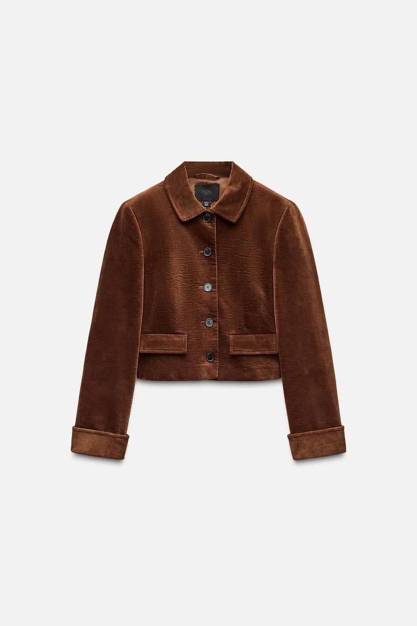 ショートベルベットジャケット - ブラウン | ZARA Japan / 日本 