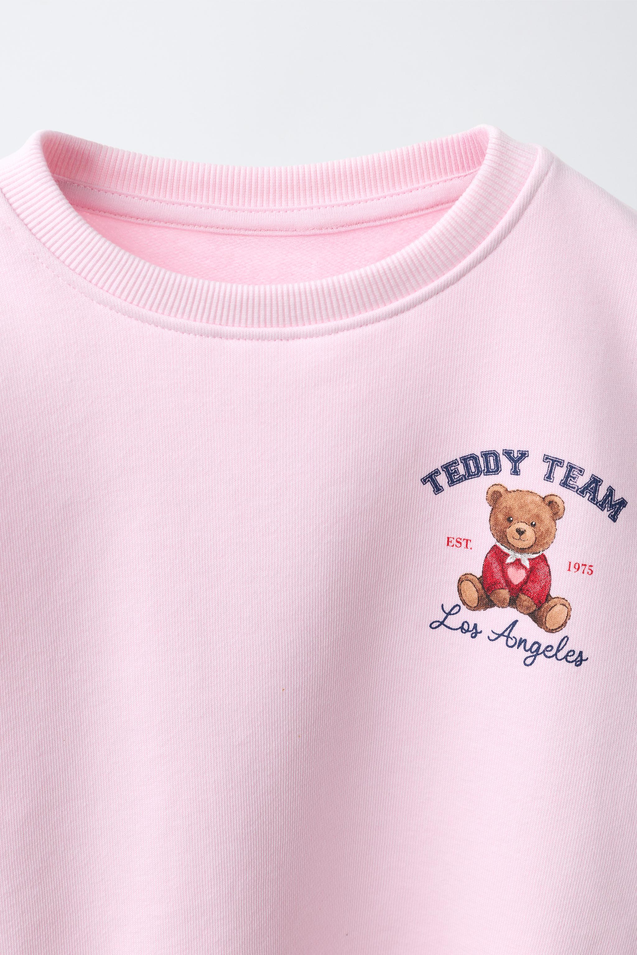 Детские худи Zara TEDDY PRINT SWEATSHIRT — фото 4