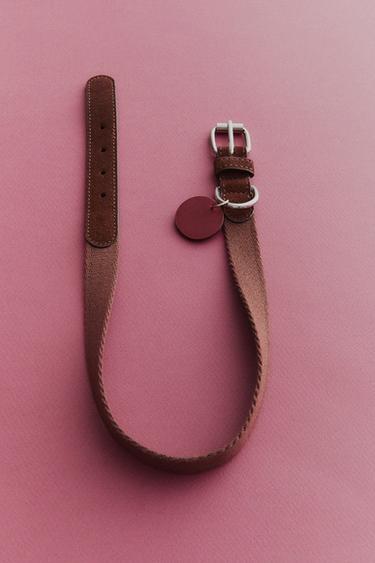 LEATHER PET COLLAR - بورجندي الخاص بـ Zara