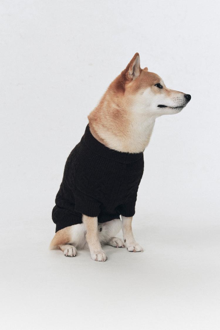 WOOL JUMPER FOR PETS SOSHIOTSUKI x ZARA