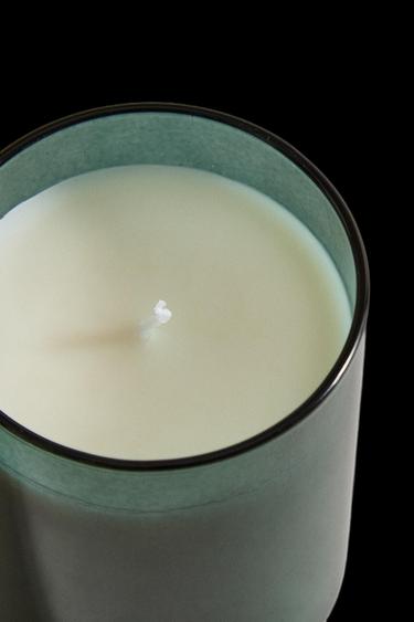 (220 G) WINTER CYPRESS BOROSILICATE SCENTED CANDLE - whisky by Zara